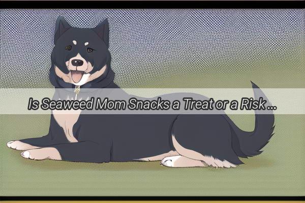 Is Seaweed Mom Snacks a Treat or a Risk for Your Pooch Find Out Now